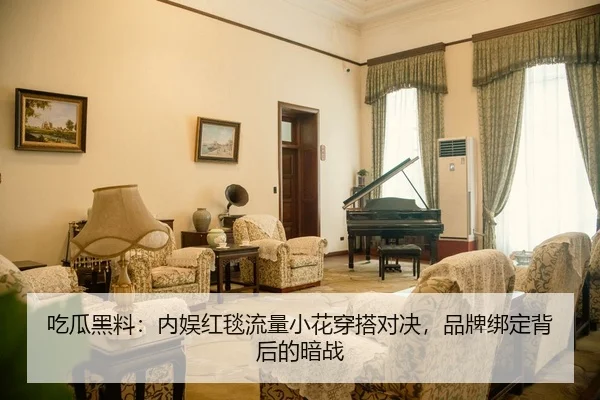 吃瓜黑料：内娱红毯流量小花穿搭对决，品牌绑定背后的暗战